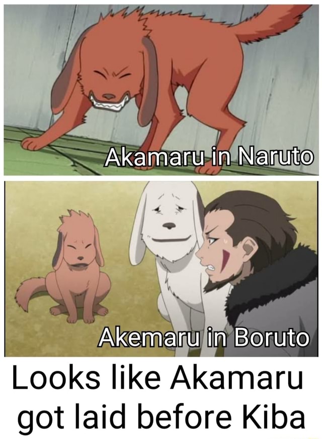Fãs de Boruto estão preocupados com ausência de Akamaru no anime