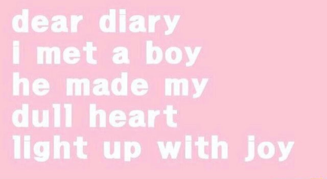 Dear Diary I Met A Boy He Made My Dull Heart Light Up With Ioy