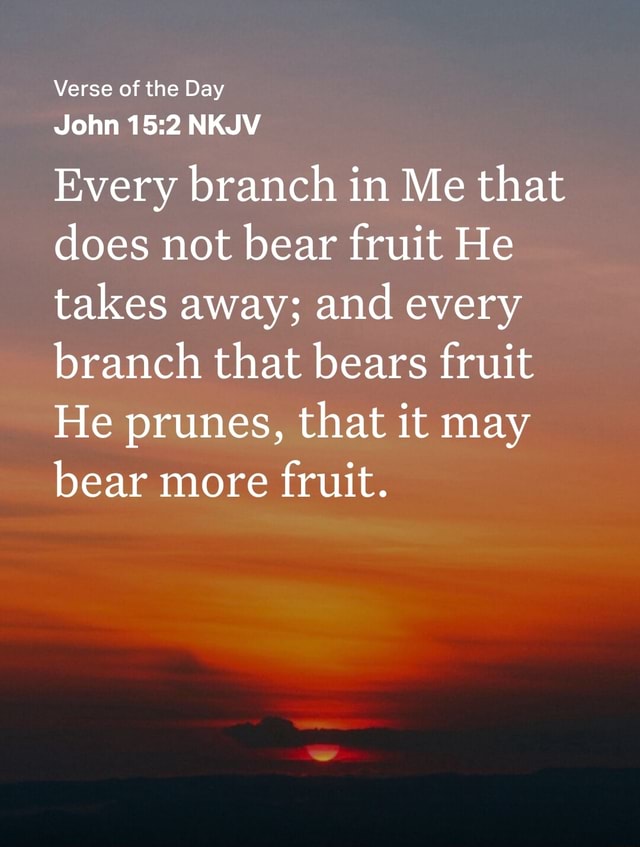 Verse of the Day John NKJV Every branch in Me that does not bear fruit ...