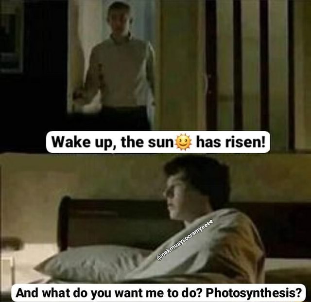 Wake up Wake up, the sun has risen! iFunny