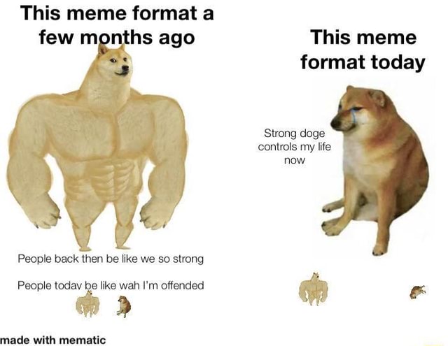 This Meme Format A Few Months Ago This Meme Format Today Strong Doge Controls My Life Now People Back Then Be Like We So Strong People Todav Be Like Wah I M Offended