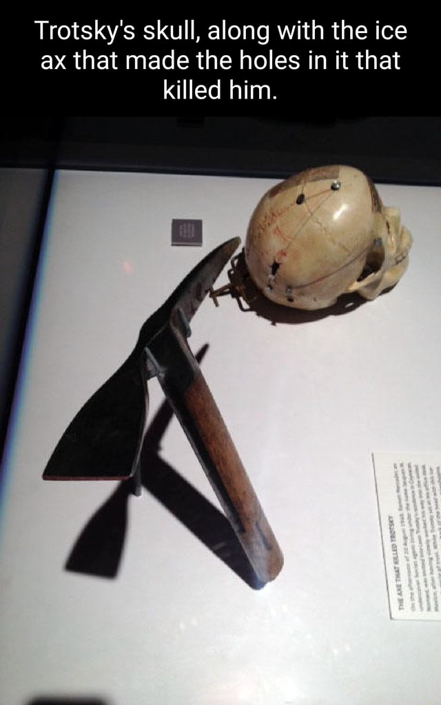 Trotsky's skull, along with the ice ax that made the holes in it that