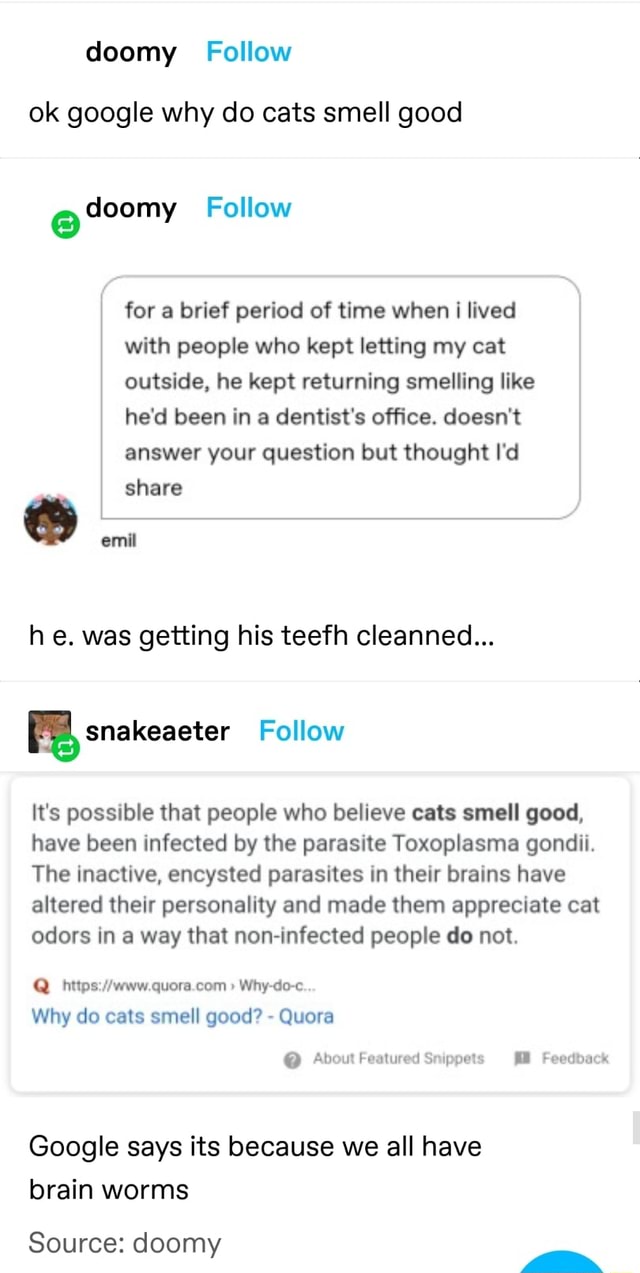 Doomy Follow ok google why do cats smell good for a brief period of