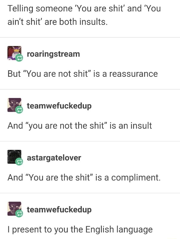 Telling someone 'You are shit' and 'You ain't shit' are both insults ...