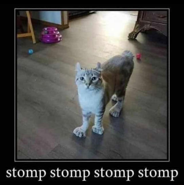 Stomp Stomp Stomp Stomp IFunny