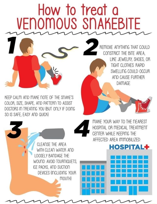 How To Treat A VENOMOUS SNAKEBITE 7 AS 2 REMOVE ANYTHING CONSTRICT THE ...