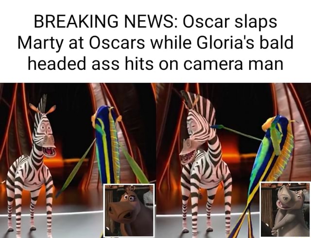 BREAKING NEWS: Oscar slaps Marty at Oscars while Gloria's bald headed ...