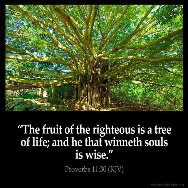 the-fruit-of-the-righteous-is-a-tree-of-life-and-he-that-winneth
