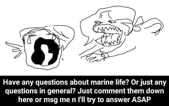 have-any-questions-about-marine-life-or-just-any-questions-in-general