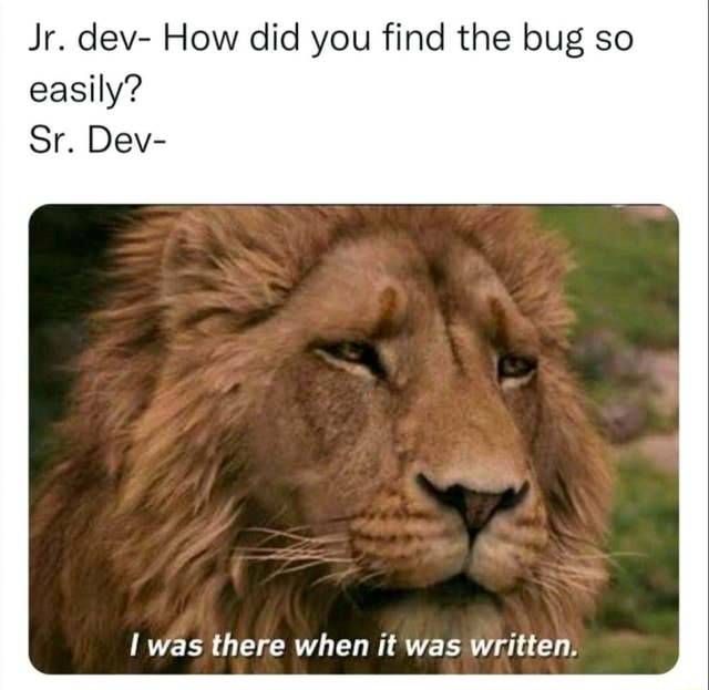 Jr. Dev- How Did You Find The Bug So Easily? Sr. Dev- Was There When It 