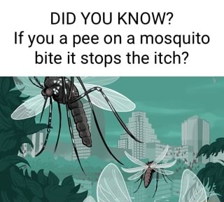 DID YOU KNOW? If you a pee on a mosquito bite it stops the itch ...