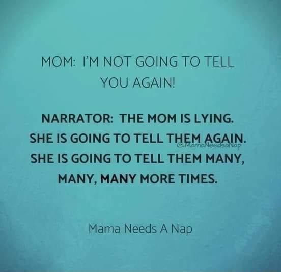 MOM: I'M NOT GOING TO TELL YOU AGAIN! NARRATOR: THE MOM IS LYING. SHE ...