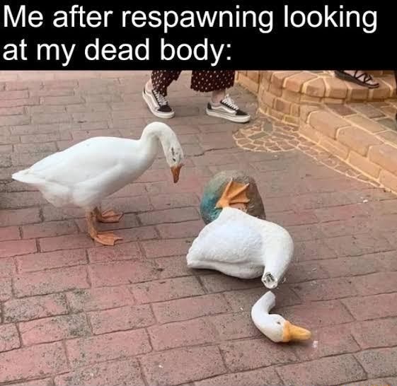 Me after respawning looking at my dead body: - iFunny