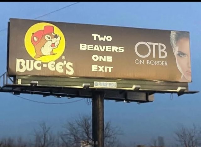 Two BEAVERS one EXIT - iFunny