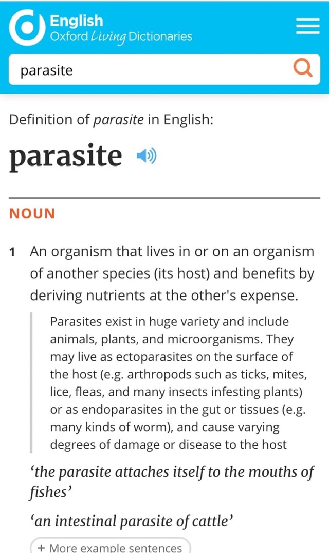 . English Oxford Living Dictionaries Definition of parasite in English parasite