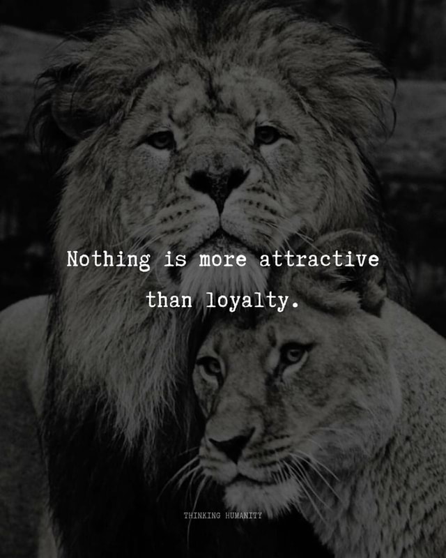 Pin by SQORPIO on Nothing's more attractive than Loyalty