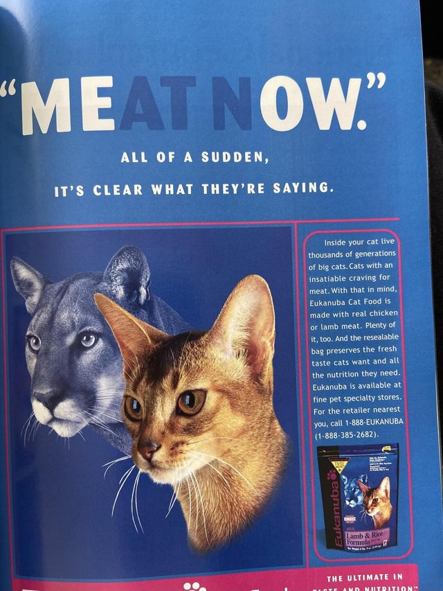 IT'S CLEAR WHAT THEY'RE SAYING. Inside your cat live thousands of