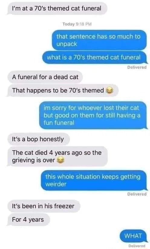 at-a-70-s-themed-cat-funeral-today-pm-that-sentence-has-so-much-to