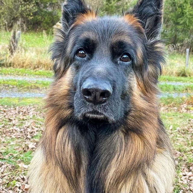 Birthday Boy! iFunny