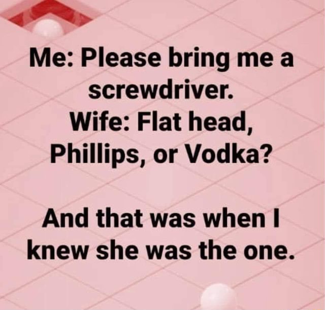 #wife #alcohol #perfect - Me: Please bring me a screwdriver. Wife: Flat ...