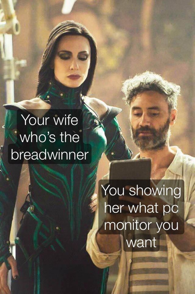 Your wife who's the breadwinner AN You showing her what pc monitor you