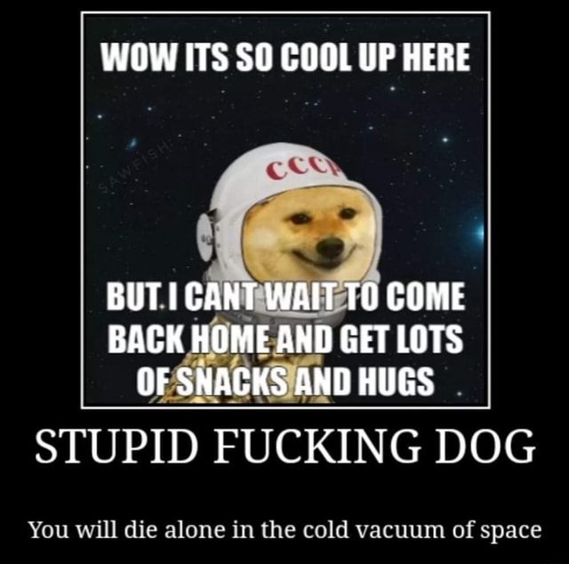 Wow Its So Cool Up Here Back Homeand Get Lots Jesnacksiand Hugs Stupid Fucking Dog You Will Die Alone In The Cold Vacuum Of Space Ifunny