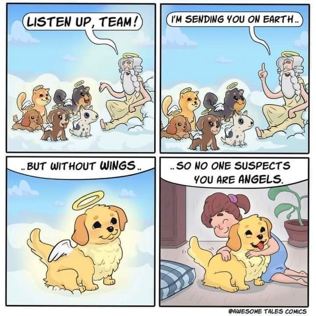 All Dogs Go to Heaven - (LISTEN UP, TEAM I'M SENDING YOU ON EARTH.. ~SO OWE NO SUSPECTS YOU - iFunny