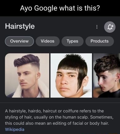Ayo Google what is this? Hairstyle A hairstyle, hairdo, haircut or coiffure  refers to the styling of hair, usually on the human scalp. Sometimes, this  could also mean an editing of facial