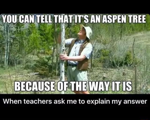 You Can Tell That It S An Aspen Tree Because Of The Way Itis When Teachers Ask Me To Explain My Answer