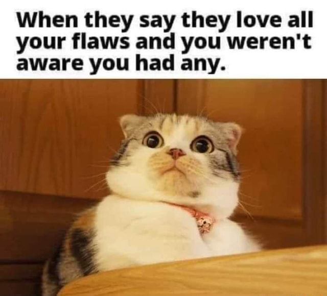 Babson Memes Babson Memes