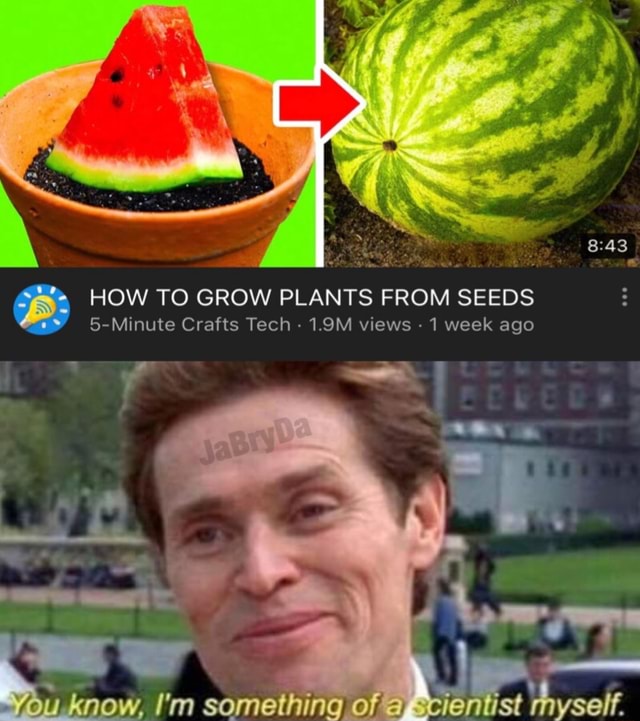 HOW TO GROW PLANTS FROM SEEDS 5Minute Crafts Tech 1.9M views1week