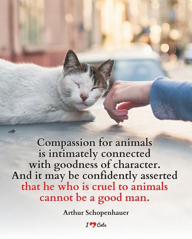 Compassion for animals is intimately connected with goodness of ...