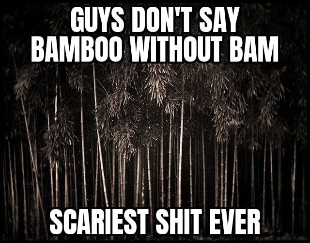 GUYS DON'T SAY BAMBOO WITHOUT BAM SCARIEST SHIT EVER - IFunny