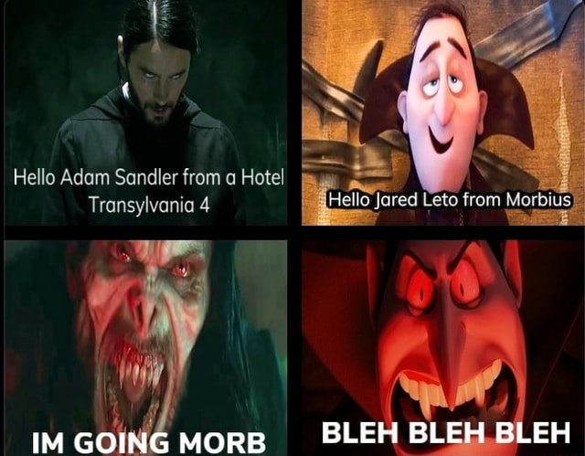 Hello Adam Sandler from a Hotel Transylvania 4 Helle jared Lete from ...