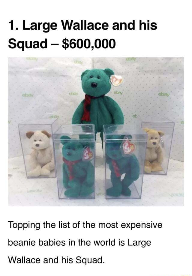 1 large wallace and his squad 600 000 an topping the list of the most