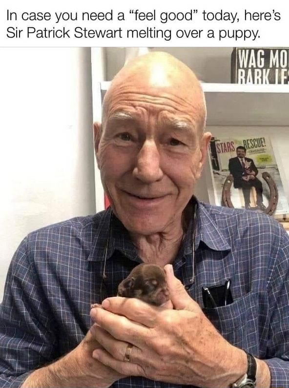 In Case You Need A Feel Good Today Here S Sir Patrick Stewart Melting Over A Puppy Ifunny