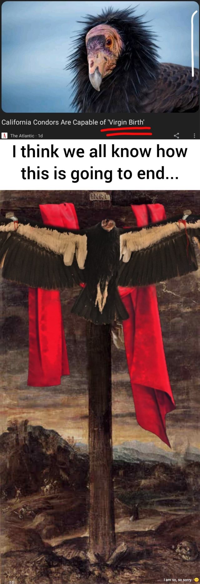 California Condors Are Capable of 'Virgin Birth' [Al] The Atlantic