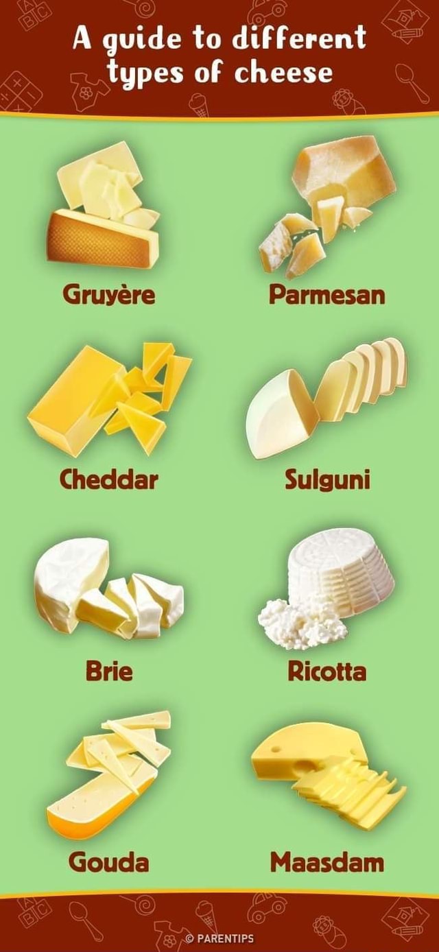 A guide to different types of cheese. America’s best pics and videos