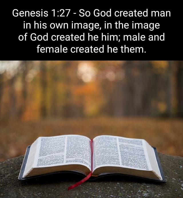 Genesis So God Created Man In His Own Image In The Image Of God Created He Him Male And