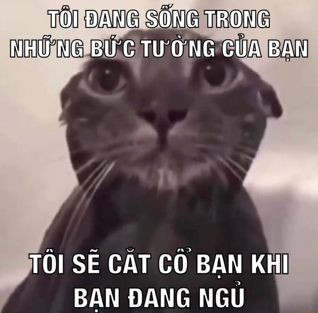 TOI DANG SONG TRONG NHU'NG BU'C TU'O'NG CUA BAN TOI SE CAT CO BAN KHI ...