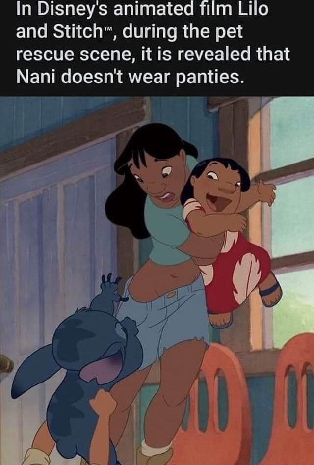 In Disney's animated film Lilo and Stitch™, during the pet rescue