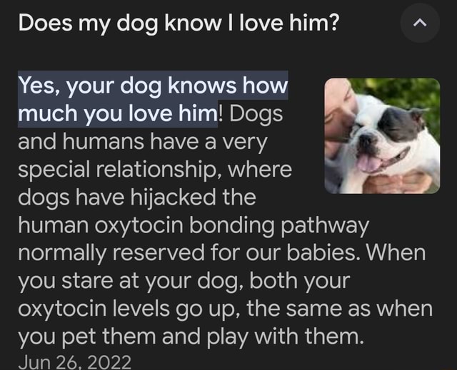 Does my dog know I love him? Yes, your dog knows how much you love him