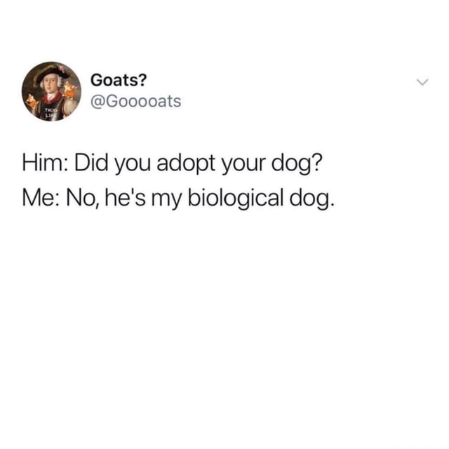 Follow kalesalad for memes please Goats? Him Did you adopt your dog