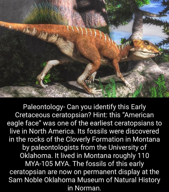 Paleontology- Can you identify this Early Cretaceous ian? Hint: this ...