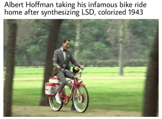 Albert Hoffman Taking His Infamous Bike Ride Home After Synthesizing ...