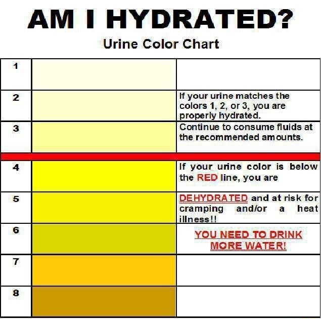 AM I HYDRATED? Urine Color Chart your urine matches the colors 1, 2, or