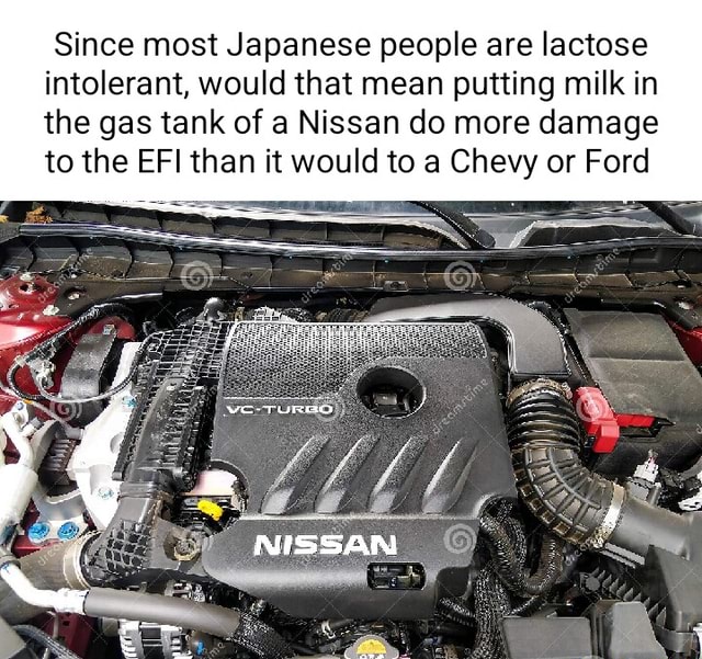 Since most Japanese people are lactose intolerant, would that mean