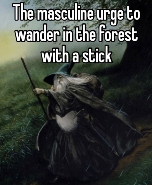 The Masculine Urge To Wander In The Forest With A Stick 