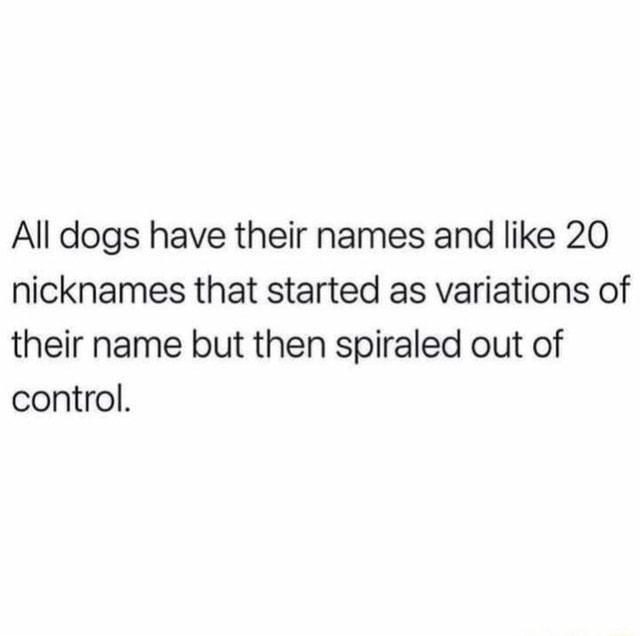 All dogs have their names and like 20 nicknames that started as