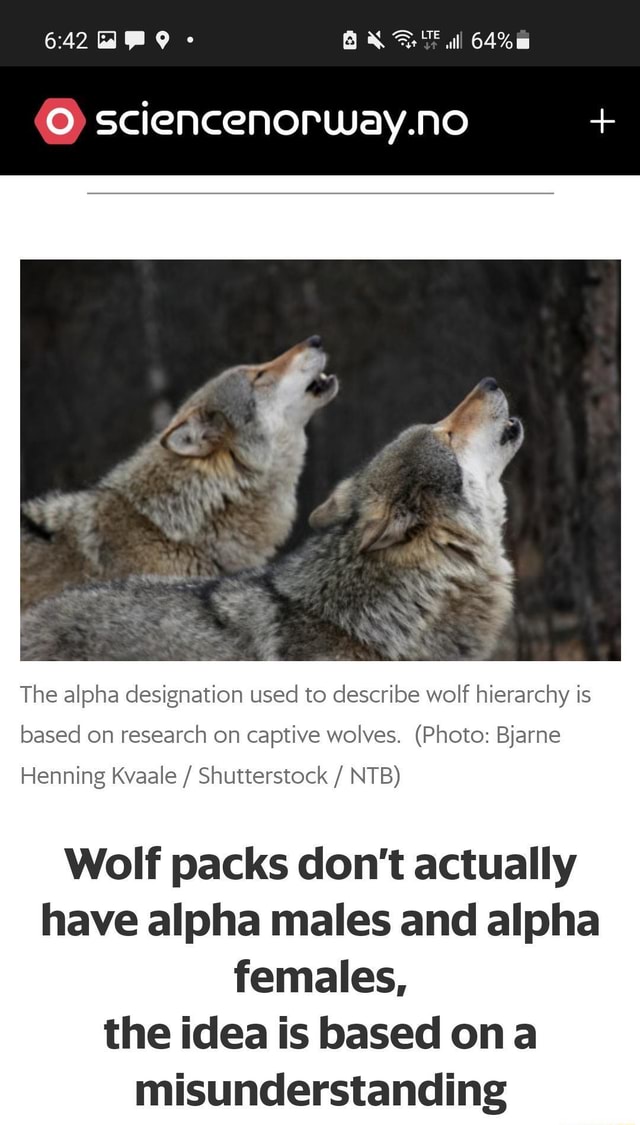 Ry O Sciencenorway.no + The Alpha Designation Used To Describe Wolf ...